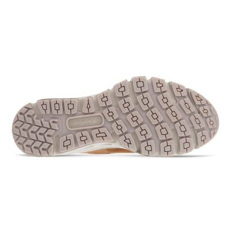کفش مردانه اکو اصل مدل ECCO MULTI-VENT M CAMEL