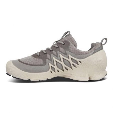 کفش زنانه اکو اصل مدل ECCO BIOM AEX W WILD DOVE/BUFFED SILVER