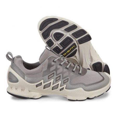 کفش زنانه اکو اصل مدل ECCO BIOM AEX W WILD DOVE/BUFFED SILVER